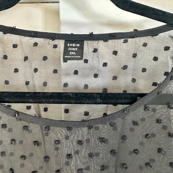 Black Sheer Swiss Dot Ruffle Trim Flounce Sleeve Top - Picture 7 of 13